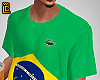 LCST Brasil