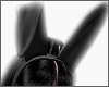 Bunny Set