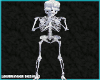 Skeleton Avatar