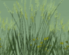 Country Grass Flowers