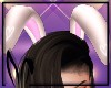 K.Bunny Ears Cream