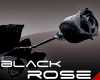 IvR: Black Rose