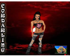 PlayBoy Bunny top