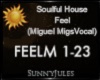 SoulfulHouse-Feel Rmx 2