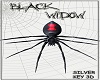 BlackWidow Pt2