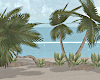 Palm Trees w Rocks