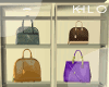 ☺ Designer Bag Display