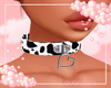 Moo ♡