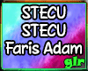 Stecu Stecu - Faris Adam