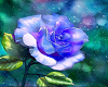 [BD] Blue rose