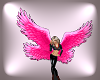 Hot Pink Wings