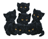 kittens black gatitos