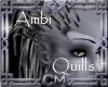 [Vv]The AMBI QUILLS