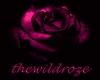 @}the WildRose club