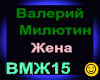 V.Milyutin_Zhena