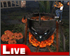 !live- Halloween Oil-pot
