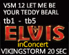 VSM 12 Teddy Bear