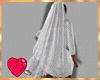 Delicate Medium Veil