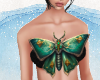 Butterfly Top