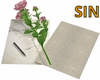 SIN Romantic Letter