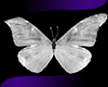 Butterflies Spec