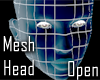 Open Mouth Mesh Head V1