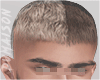 Carlos Haircut