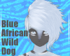 BlueWildDog-Hair V1