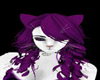 *KY* Ky's Purple Cat Ear