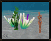 Underwater Plant Grab