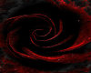 ~M~ Red Rose