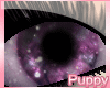 [Pup] Magical Purple