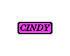Cindy plate sticker