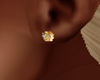 Gold Stud Earring M/F