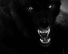 6v3| Wild Wolves 🐺