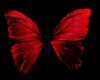 Butterfly RED Arm