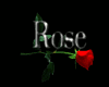 Rose rug or dance mrker