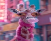 xiiii