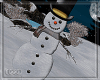  C.Carol snowman