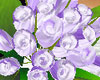 [TGUU] Roses Lilac Glow