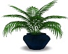 PALM W/BLUE CONTAINER