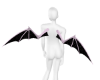 Pink and black wings