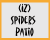(IZ) Spiders Patio 