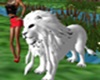 leone bianco