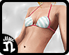 (n)Raspberry Mint Bikini