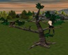 Animated Primate Tree