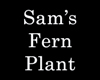 [CFD]Sam's Fern Plant