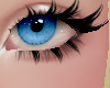 Dvo* Bimbo Blue