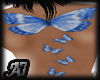 tato Blue butterflies