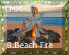 CMM-Boracay Beach Fire